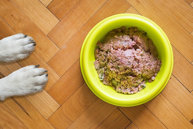 Hvordan man skifter din hunds diæt uden at forstyrre dens fordøjelse